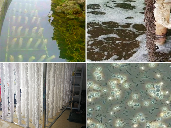 �p��ʽ����