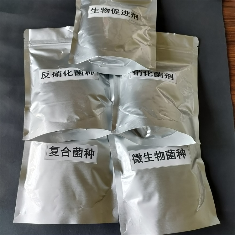 微生物菌種 微生物菌種