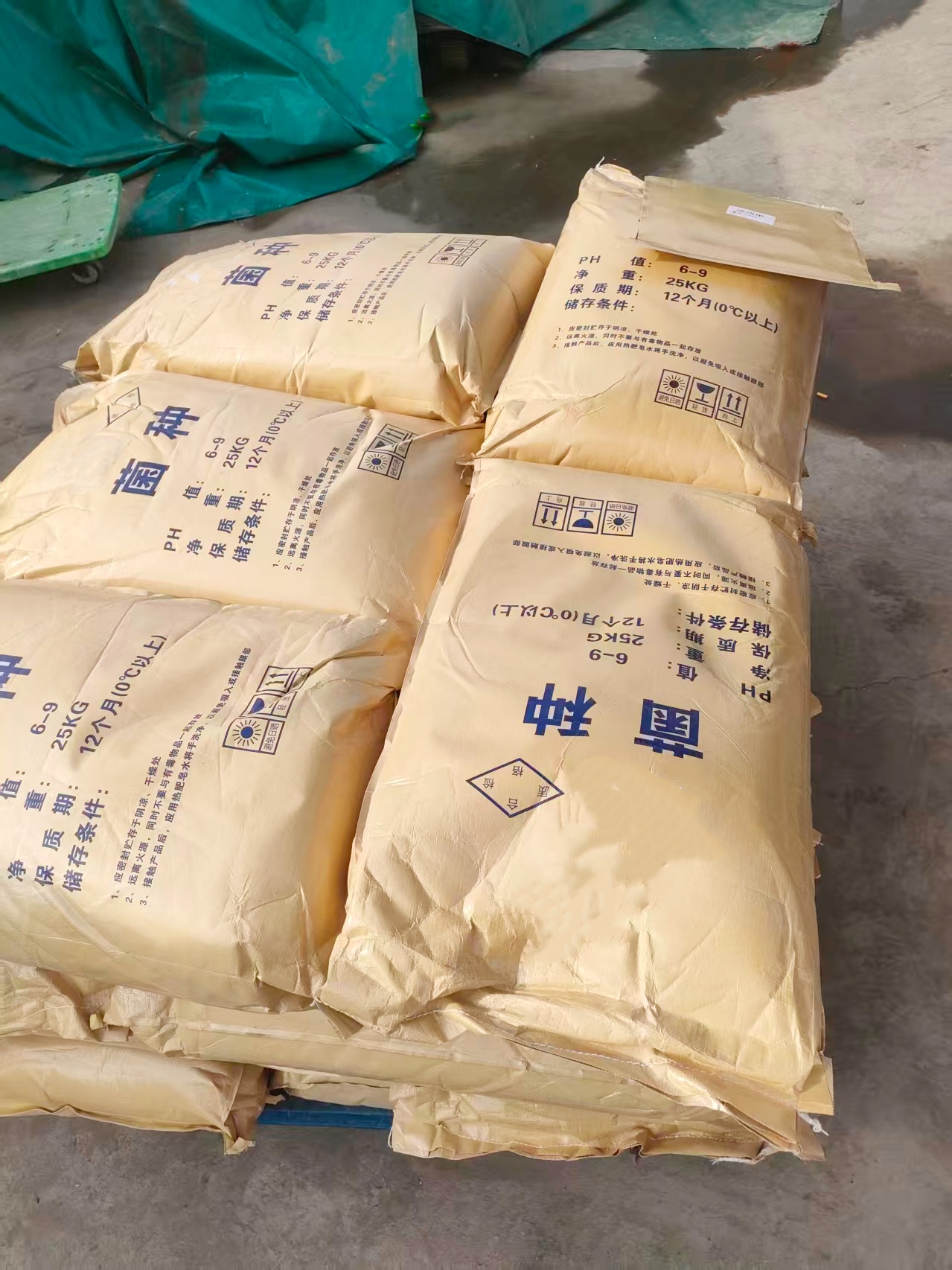 微生物菌種 微生物菌種